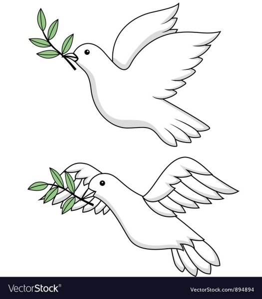 Голубь в полете раскраска
