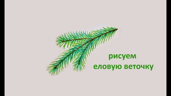 Рисование Еловая веточка
