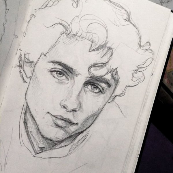 Тимоти Шаламе портрет карандашом