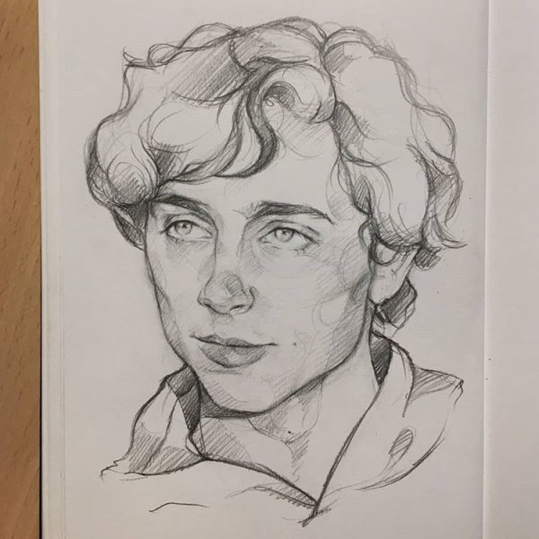 Тимоти Шаламе скетч