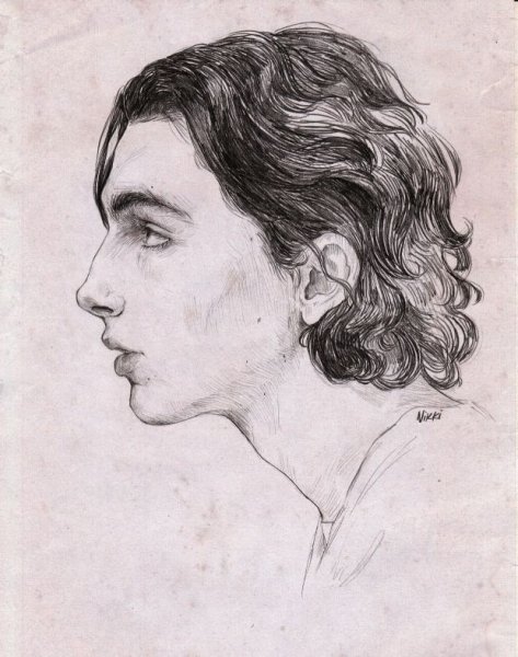 Тимоти Шаламе портрет