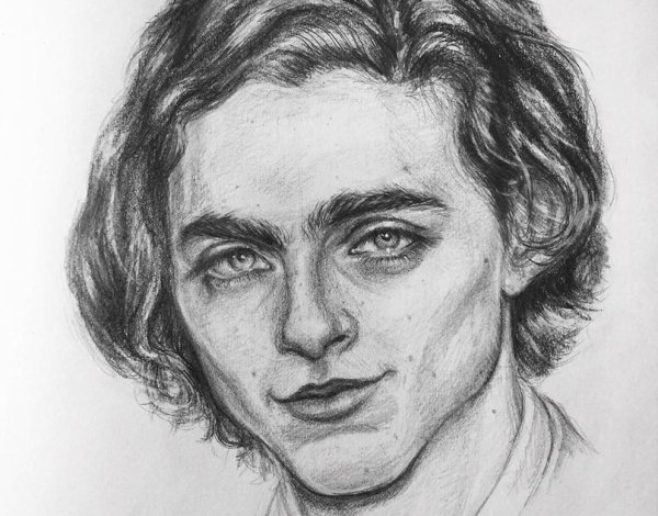 Тимоти Шаламе портрет карандашом