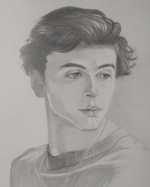 Тимоти Шаламе портрет карандашом