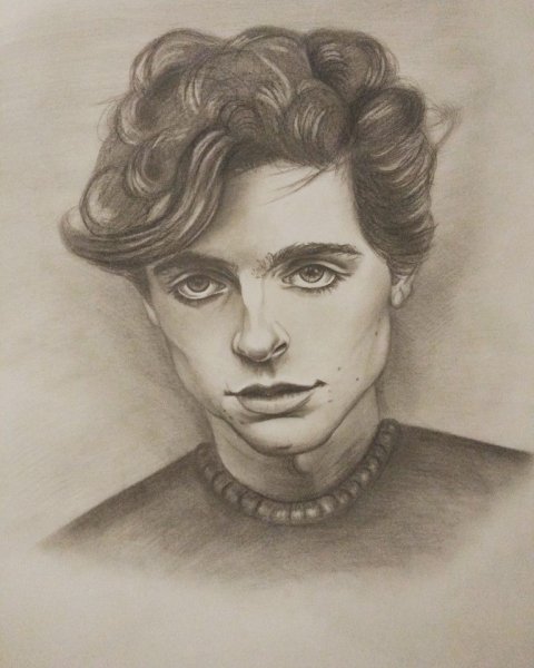 Тимоти Шаламе арт