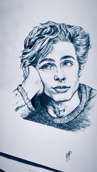 Тимоти Шаламе контур