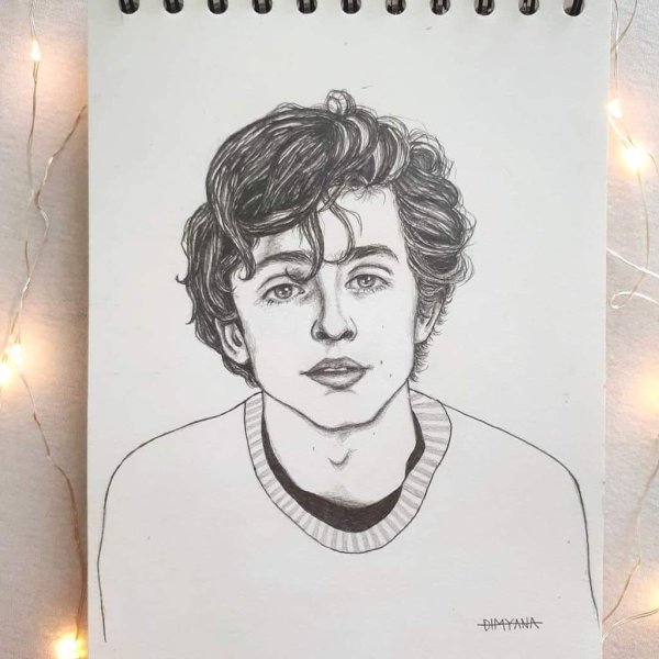 Тимоти Шаламе палата 69