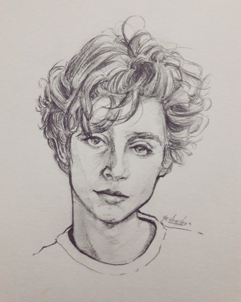 Тимоти Шаламе скетч