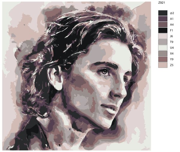 Тимоти Шаламе рисунок