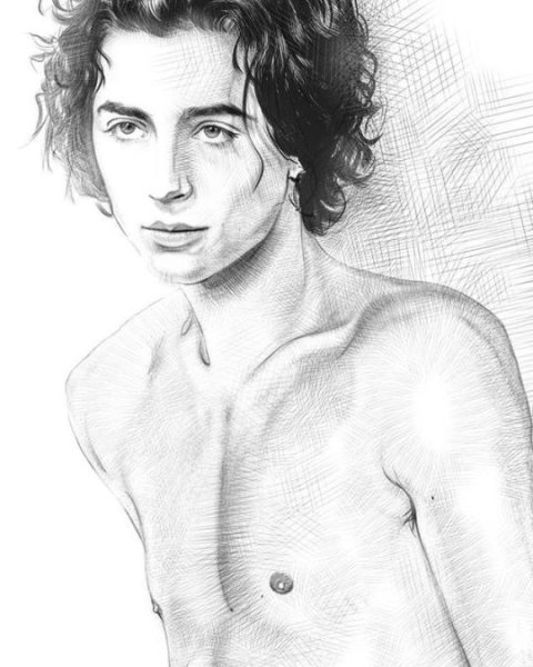 Тимоти Шаламе рисунок