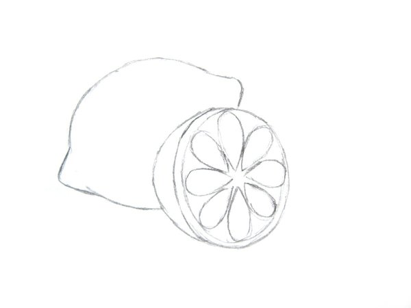 Лимон рисунок карандашом