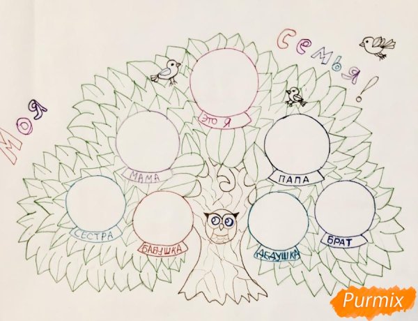 Родовое дерево рисунок карандашом