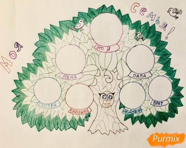 Нарисовать Древо семьи