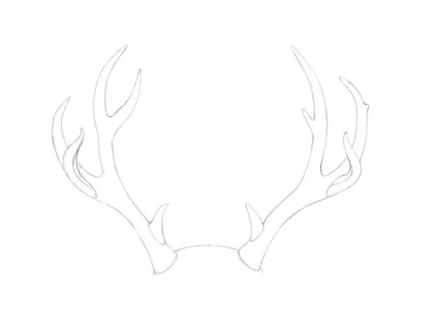 Оленьи рога для рисования