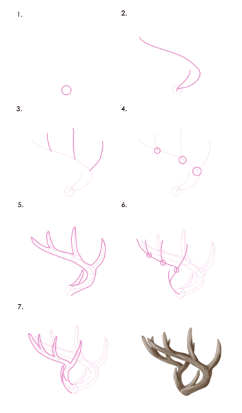 Рога оленя рисунок сбоку