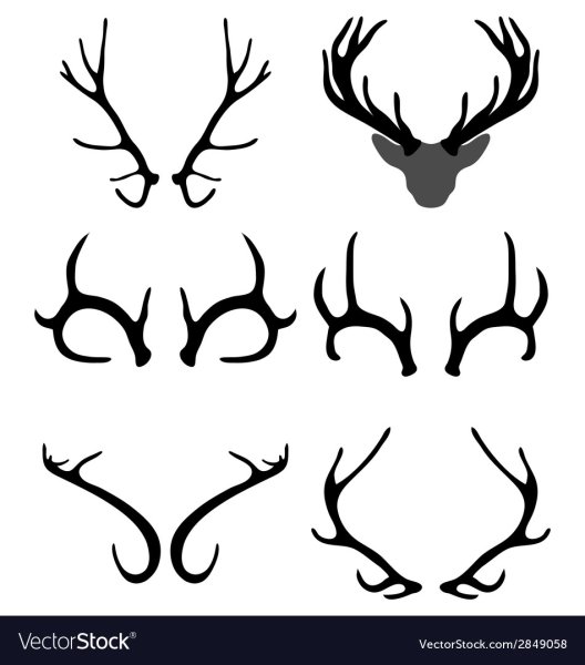 Рога оленя легко