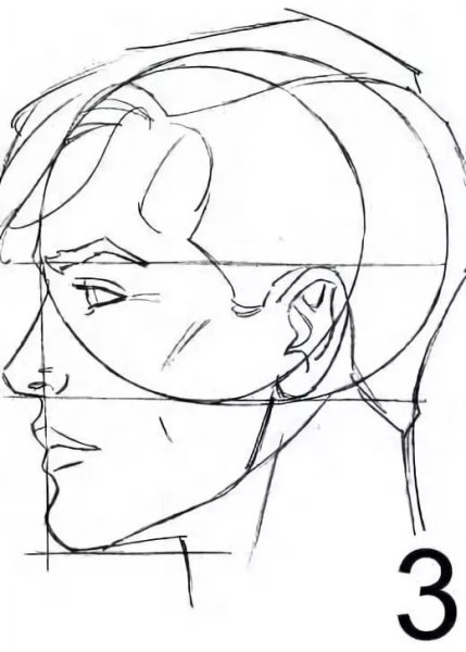 Лицо в профиль референс рисунок