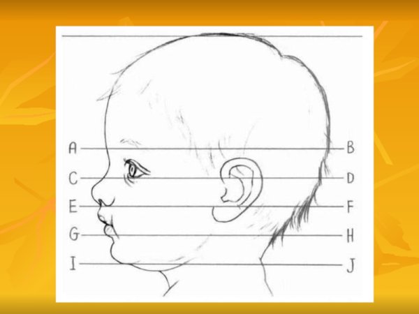 Голова ребенка в профиль