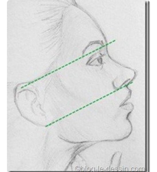 Рисование носа в профиль