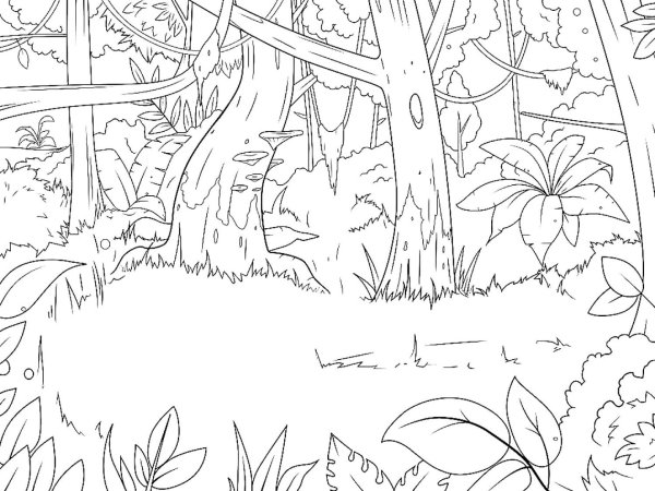 В лесу. Раскраска