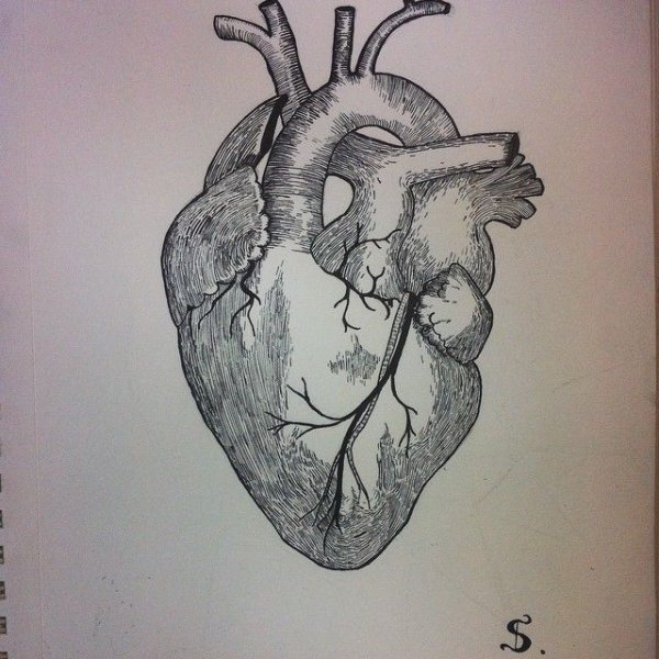 Сердце набросок