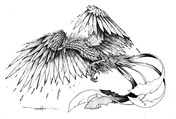 Феникс рисунок