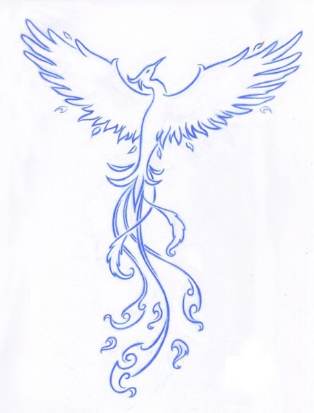 Птица Симург эскизы