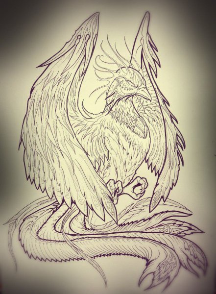 Феникс эскиз реализм