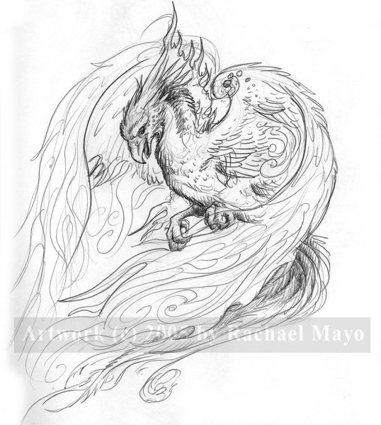 Тату птицы сказочные