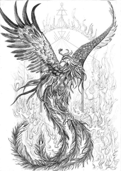Феникс рисунок карандашом