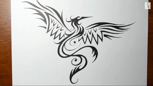 Феникс карандашом