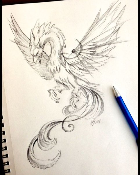 Птица Феникс карандашом