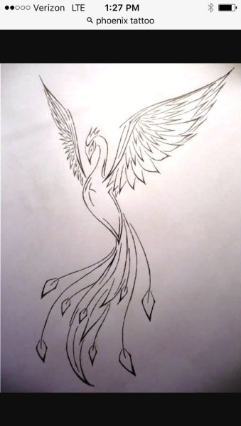 Птица арт карандашом