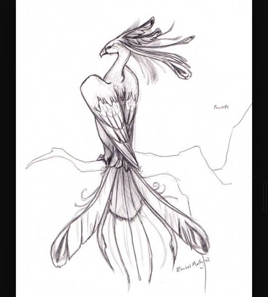 Огненная птица раскраска