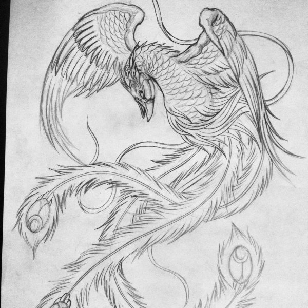 Птица Феникс для детей