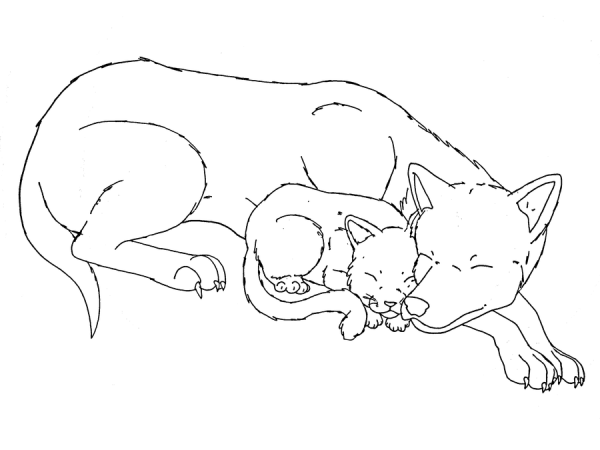 Собака и кошка лайн