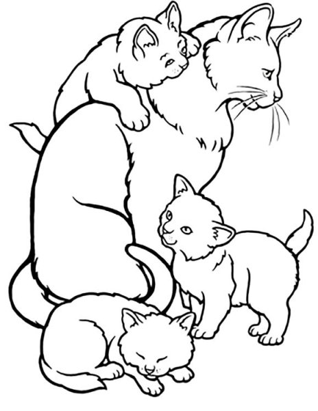 Раскраска мама кошка с котятами