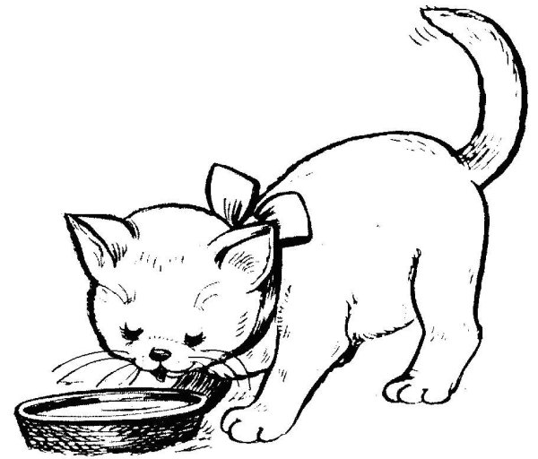 Рисовать кошку с котятами