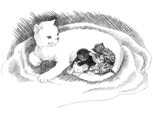 Разукрашка девочка кошка