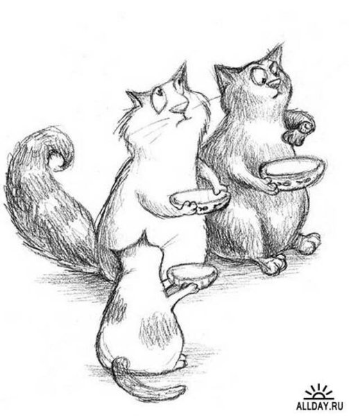 Королевская Аналостанка