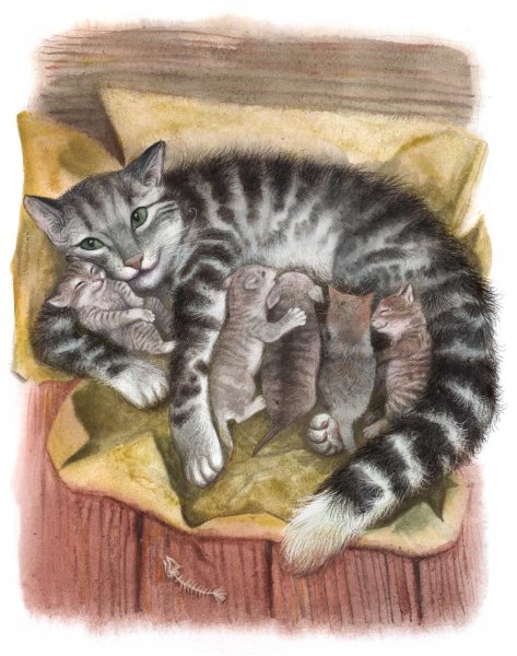 Раскраски на тему доброта