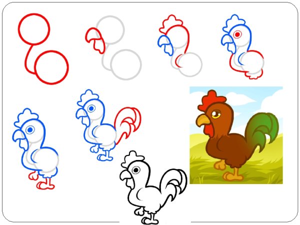 Петух рисунок карандашом