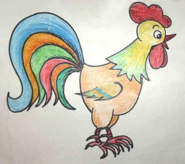 Раскраска хвост петуха для детей