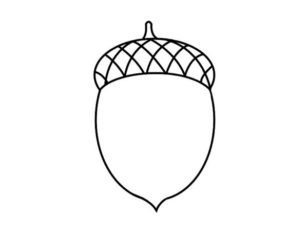 Желудь раскраска для детей