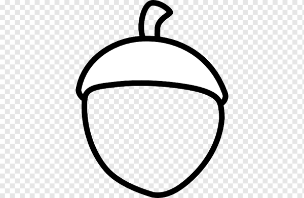 Желудь раскраска для детей