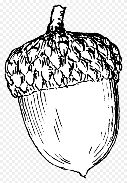 Орех раскраска