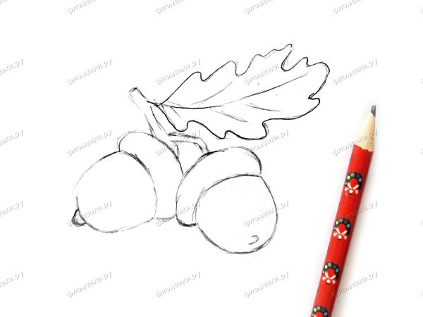 Раскраски для детей 4-5 лет желуди