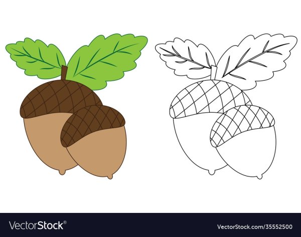 Жёлуди чернобелая раскраска