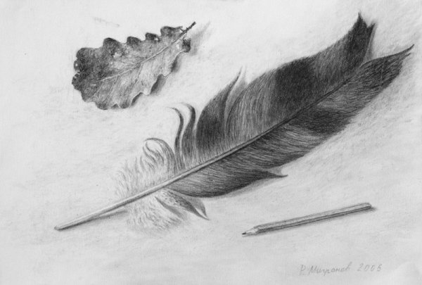 Перо нарисовать карандашом