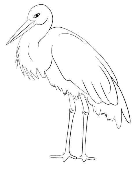 Цапля раскраска