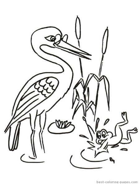 Аист рисунок для детей карандашом